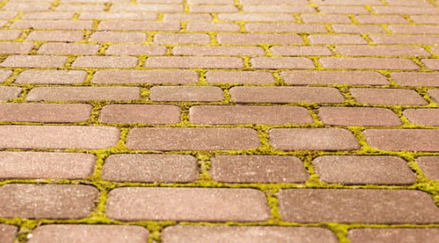 Clean Paving Slabs