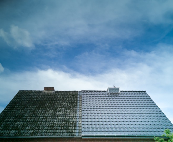 RenWash Roof Cleaning Services In South Shields