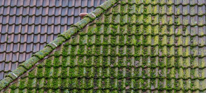 The RenWash Roof Cleaning Procedure