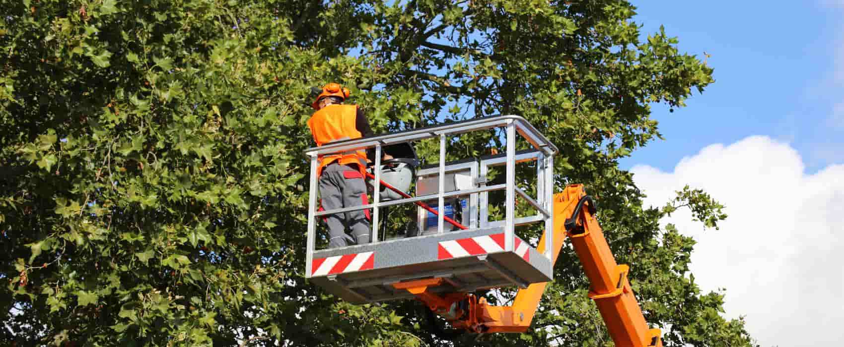 Cherry Picker Hire in Low Bradley